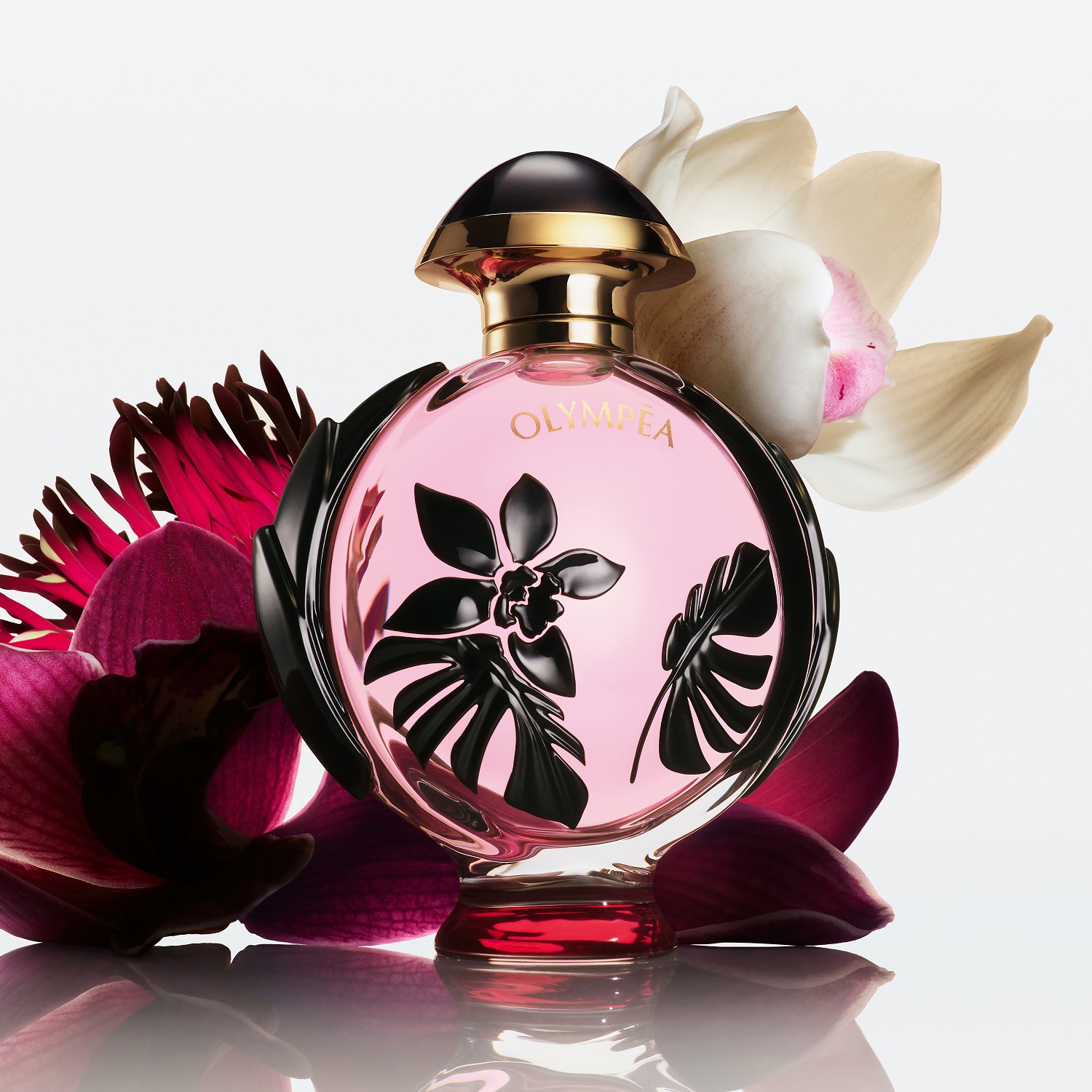 Is Olympéa Flora Intense The Next Big Perfume? - 1zbhnq1