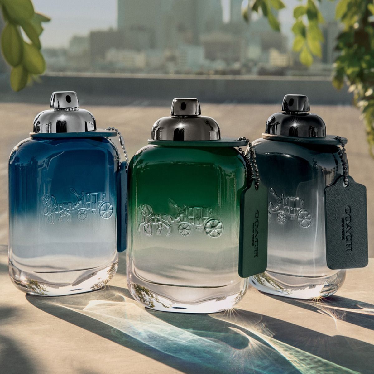 Fragrance For Him Coach Green For Men Eau De Toilette 100ml μόνο με 69.00