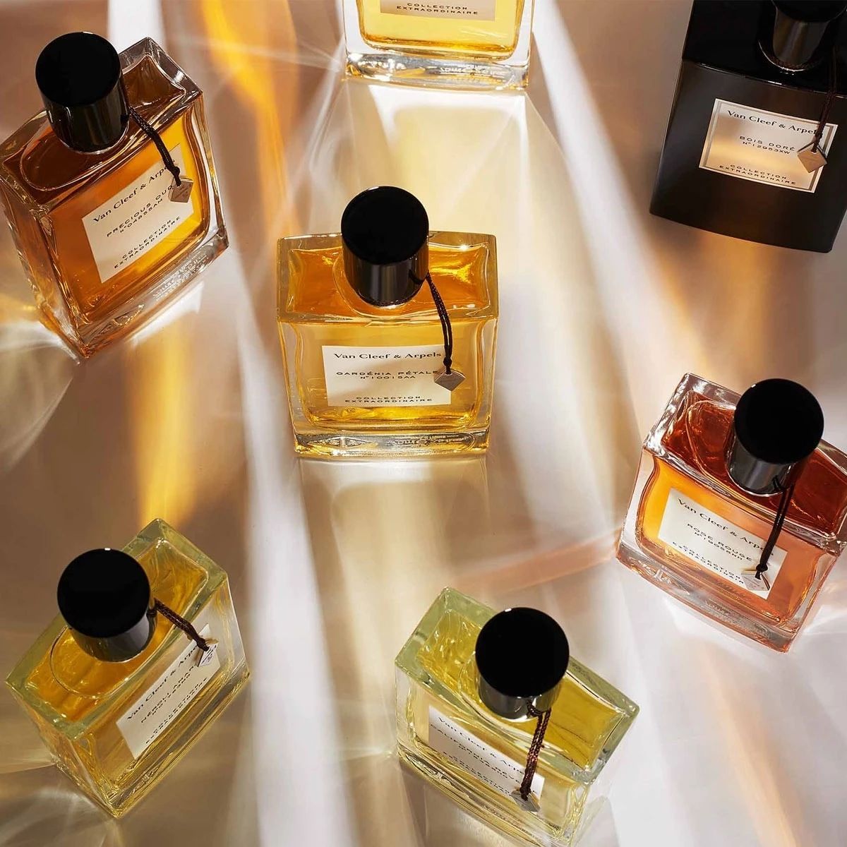 Unisex Fragrance Van Cleef & Arpels Collection Extraordinaire Musc 