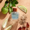 Product Canyon Escape For Him Eau De Toilette 30ml thumbnail image