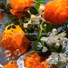Product Aqua Allegoria Mandarine Basilic Eau De Toilette Set thumbnail image