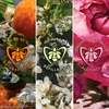 Product Aqua Allegoria Mandarine Basilic Eau De Toilette Set thumbnail image