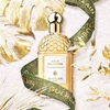 Product Aqua Allegoria Mandarine Basilic Eau De Toilette Set thumbnail image
