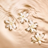 Product Seduction Collection Radiant Tuberose Eau De Parfum 125ml thumbnail image