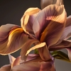 Product Boss Bottled Parfum 50ml thumbnail image