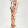 Product Alive Parfum 80ml thumbnail image