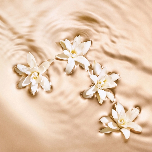 Product Seduction Collection Radiant Tuberose Eau De Parfum 125ml base image