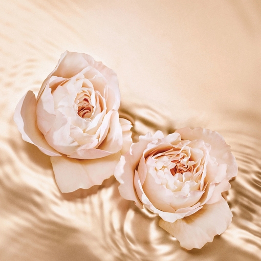 Product Seduction Collection Tempting Rose Eau De Parfum 125ml base image